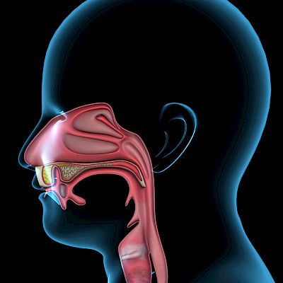 Suun ja nielun  HPV-positiivisen syövän hoidon keventäminen näyttää onnistuvan
