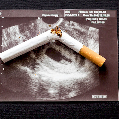 The effect of nicotine on fetal growth and development