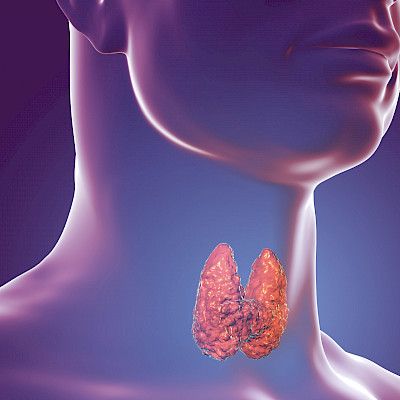 Use of thyroid hormones in the treatment of hypothyroidism: ­Thesis questionnaire survey for Finnish specialists