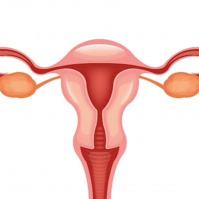 Assessment of ovarian tumours