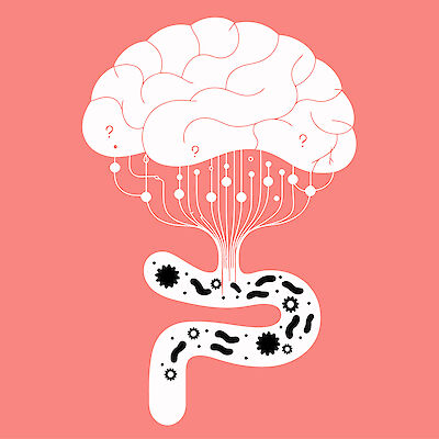 Varhainen suolistomikrobisto vaikuttaa kouluikäisen mieleen