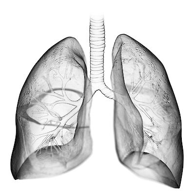 Mitä tutkittiin viime vuonna?