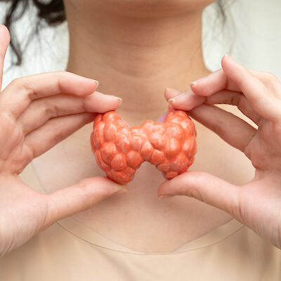 Äidin kilpirauhastoiminta vaikuttaa lapsen autismin riskiin