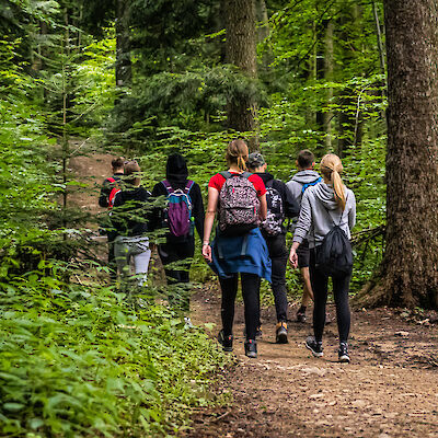 Terveyskeskuslääkäri suosittelee luontolähetettä