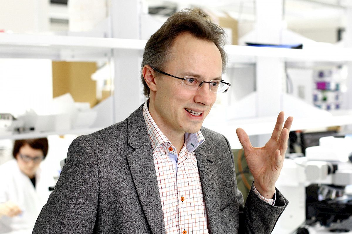 Kuvio 1
