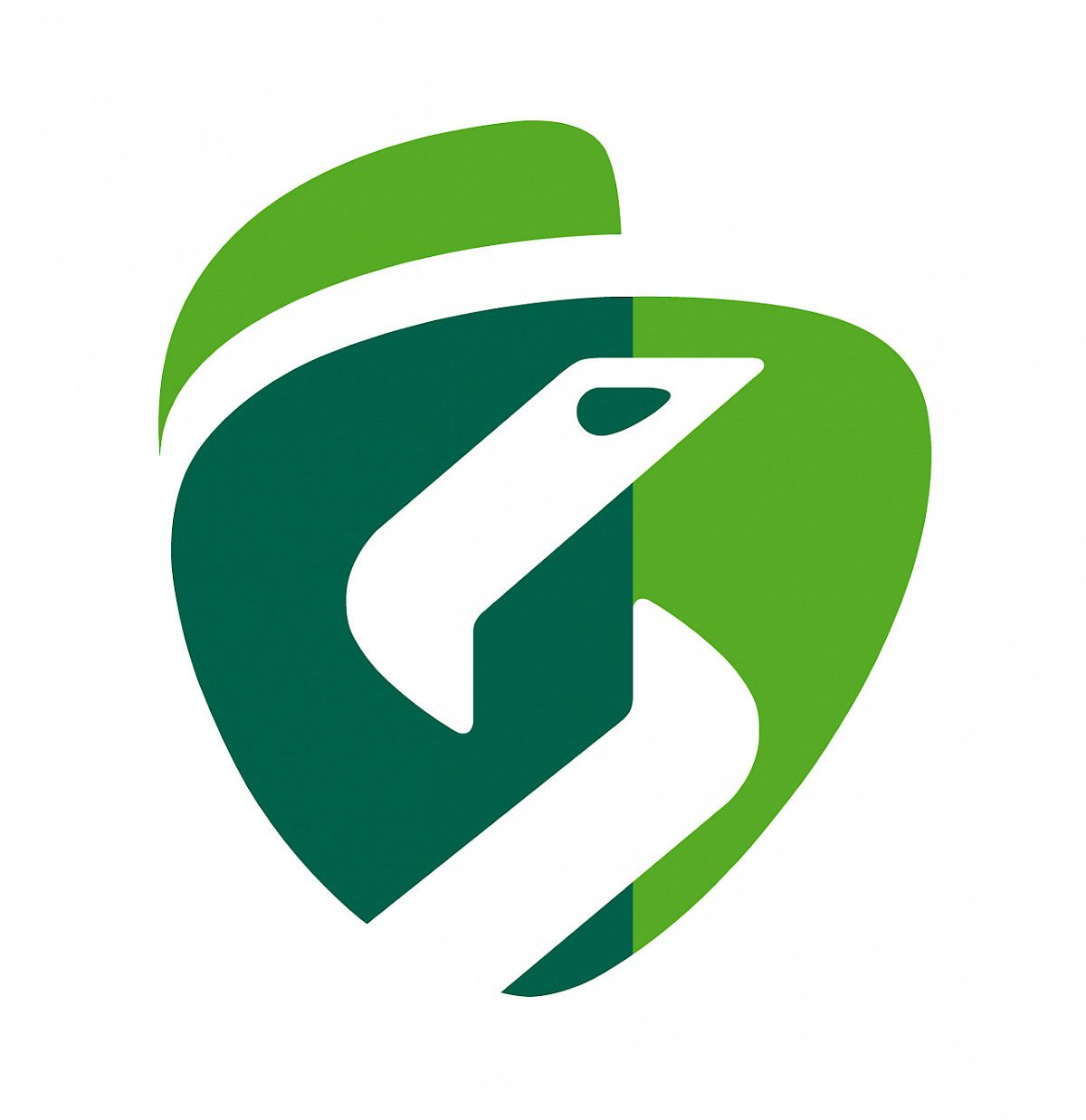 Kuvio 1