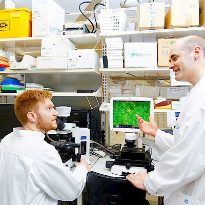CRISPR korjaa genomia tarkasti