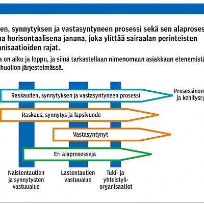 Development of process measurement systems – Experience with processes for pregnancy, childbirth and neonatal care