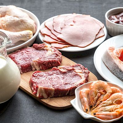 Onko liiasta proteiinista haittaa munuaisille?