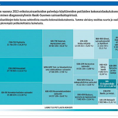 Erikoissairaanhoidon palvelujen käyttö Keski-Suomen sairaanhoitopiirissä