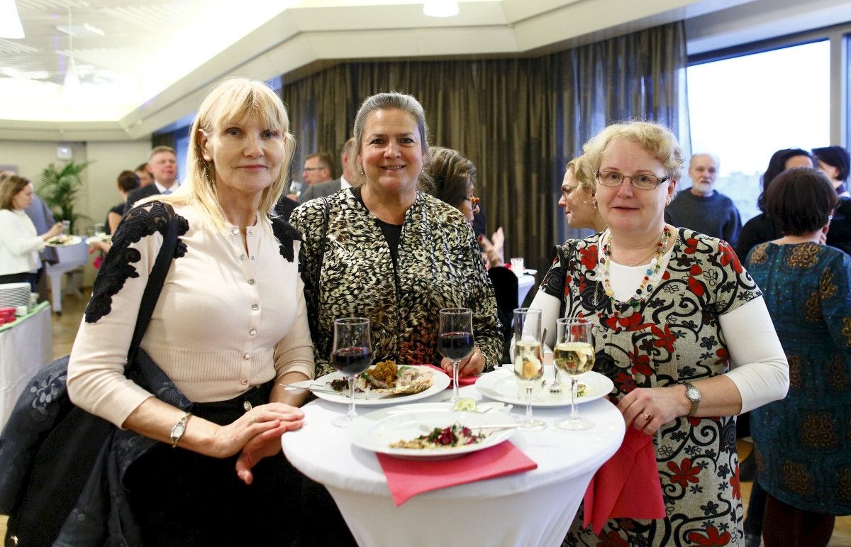 Kuvituskuva 28