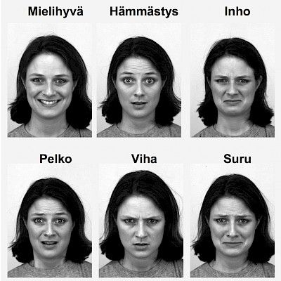 Tunteiden neurobiologia