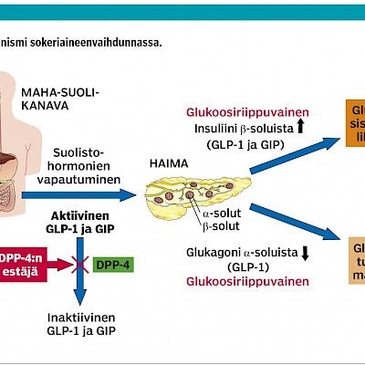 Onko DPP-4:n estäjien suosio diabeteksen hoidossa perusteltua?