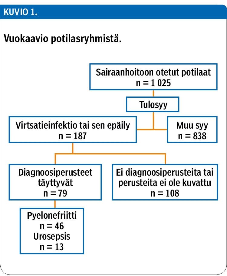 Vuokaavio potilasryhmistä.