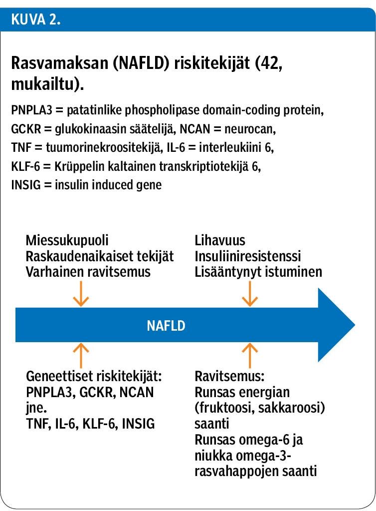 Rasvamaksan (NAFLD) riskitekijät (42, mukailtu).<p/>