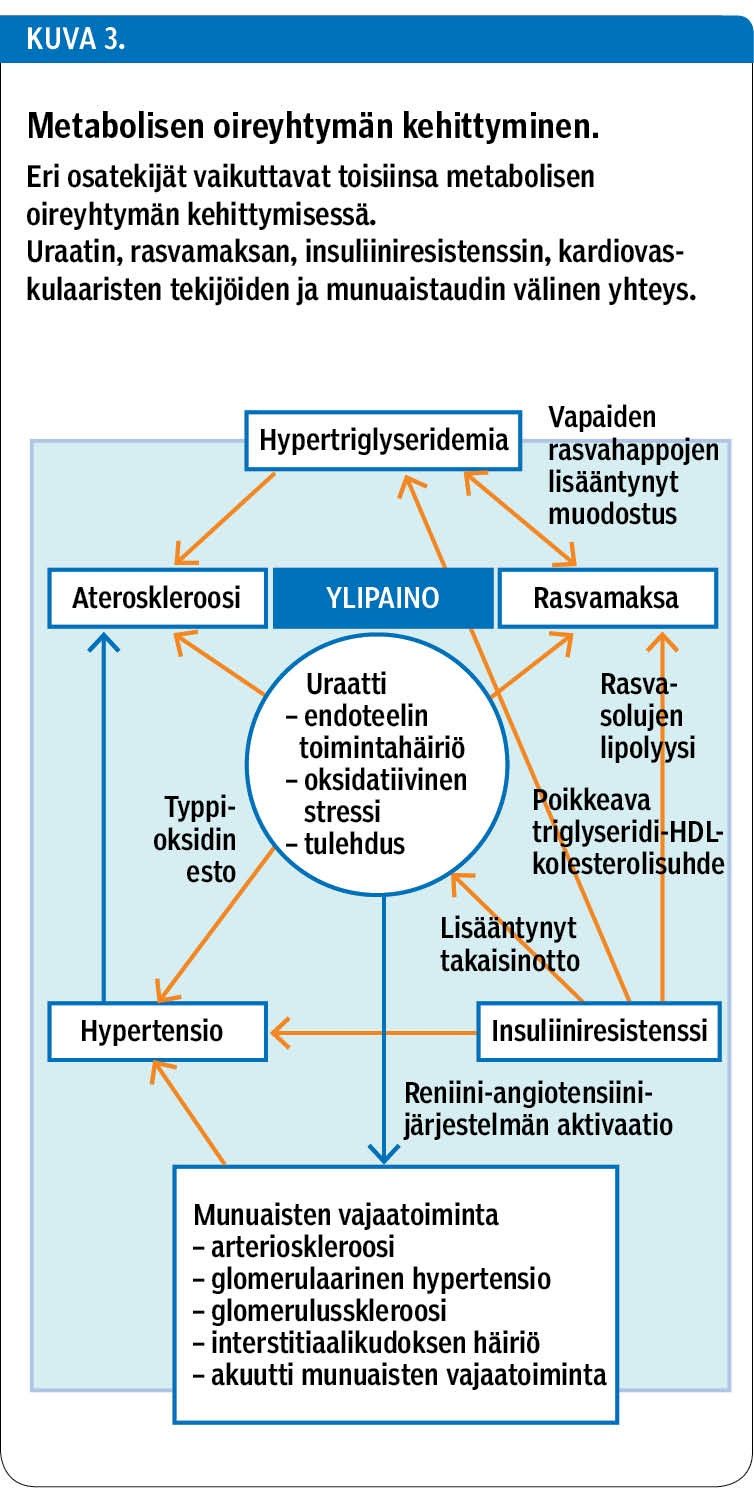 Metabolisen oireyhtymän kehittyminen.<p/>