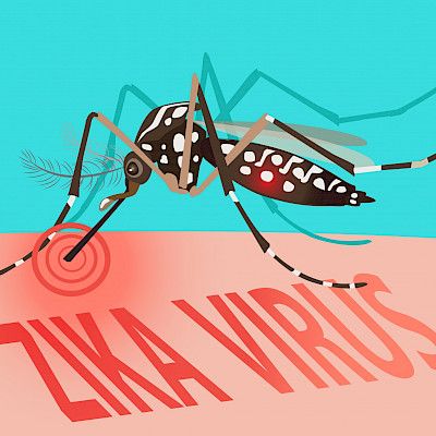 Influenssalääkkeet tepsivät myös zikavirukseen