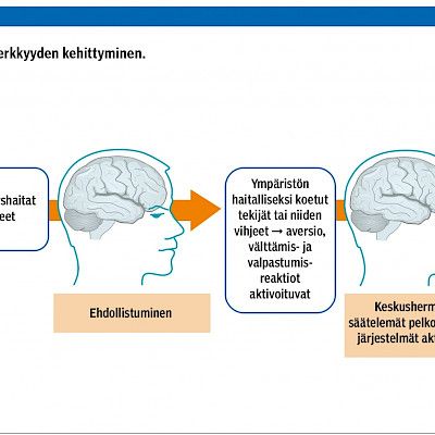 Sisäilma ja ympäristöherkkyys
