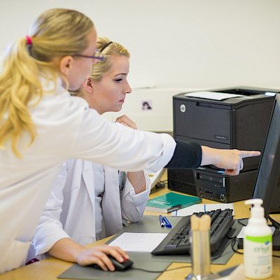 Kandi menestyy kesätyössä kokeneen kollegan tuella