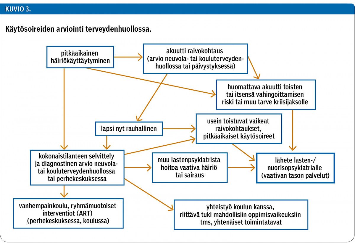 Käytösoireiden arviointi terveydenhuollossa.