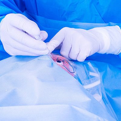 Asiakassetelimalli voi uhata yhteispäivystyksiä
