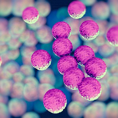 Uusia MRSA-tartuntoja ei löytynyt TYKSistä
