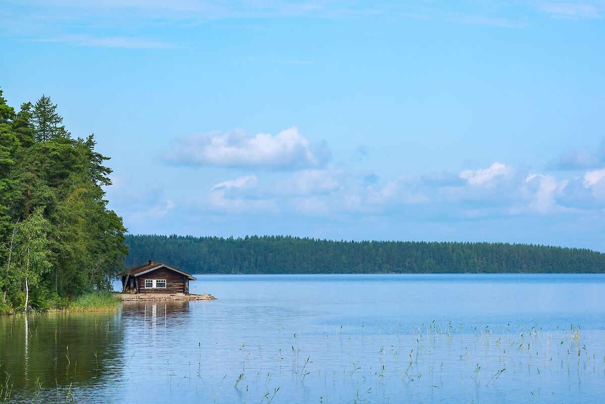 Kansikuva