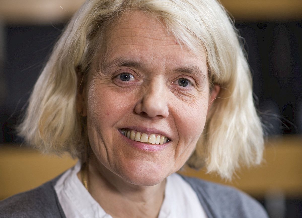 Kuvituskuva 1