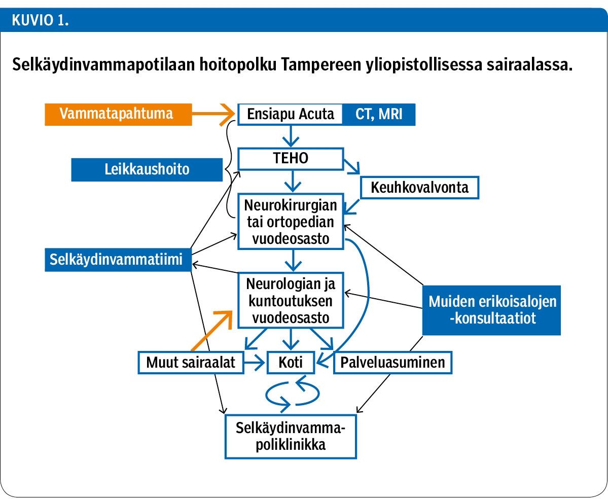 Selkäydinvammapotilaan hoitopolku Tampereen yliopistollisessa sairaalassa.