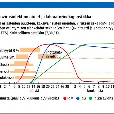 Raskaudenaikainen parvorokkovirusinfektio