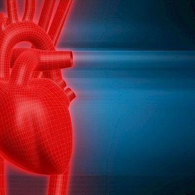 Rasvamaksa kaksinkertaistaa eteisvärinän riskin