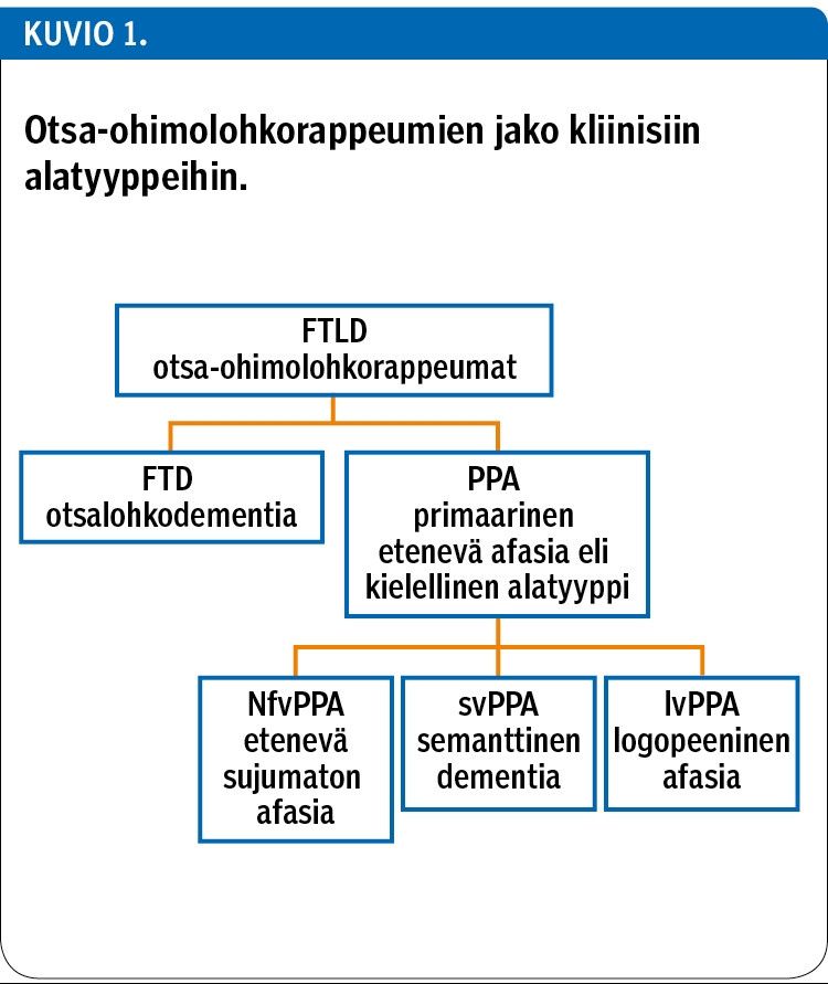 Otsa-ohimolohkorappeumien jako kliinisiin alatyyppeihin.