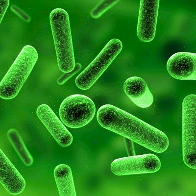 Antibioottien vaikutus normaaliin bakteerikantaan tarkentuu