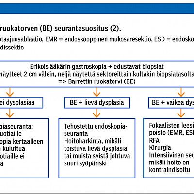 Gastroskopian koepalalöydösten kliininen merkitys