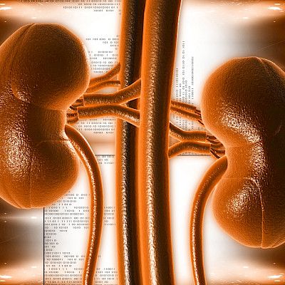 Dialyysihoidossa vuonna 2016 enemmän uusia potilaita kuin aiemmin