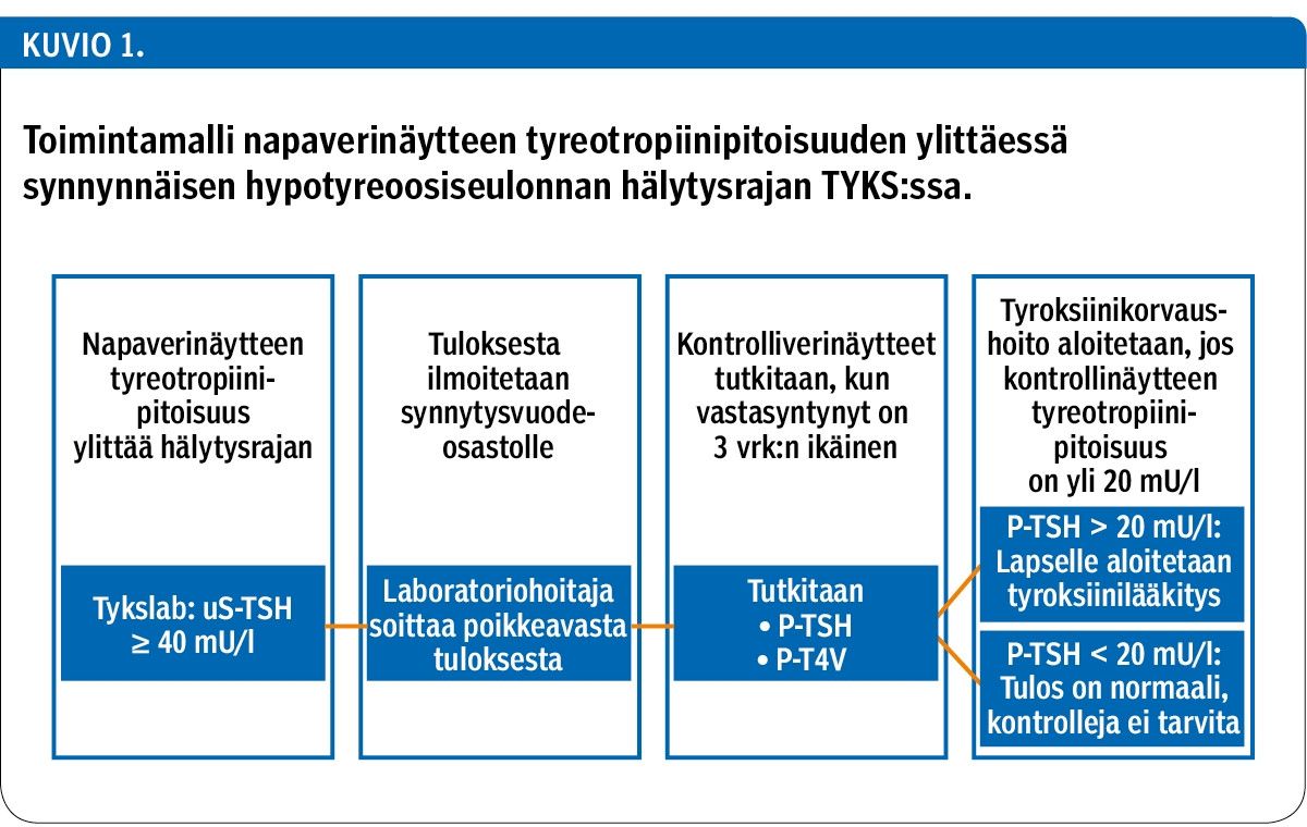 Toimintamalli napaverinäytteen tyreotropiinipitoisuuden ylittäessä synnynnäisen hypotyreoosiseulonnan hälytysrajan TYKS:ssa.<p/>