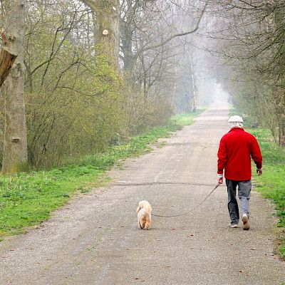 Ikääntyvien verkkosovellus pyrkii ehkäisemään sydänongelmia ja dementiaa