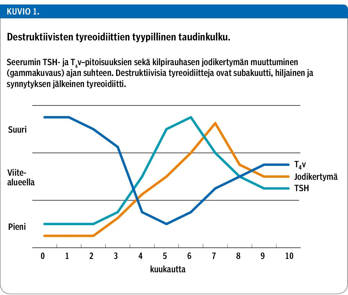 Destruktiivisten tyreoidiittien tyypillinen taudinkulku.