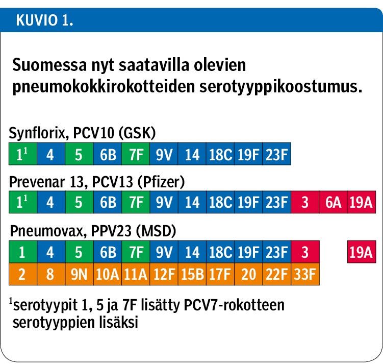 Suomessa nyt saatavilla olevien pneumokokkirokotteiden serotyyppikoostumus.