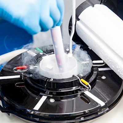Terveysteknologian valvonta Valvirasta Fimeaan