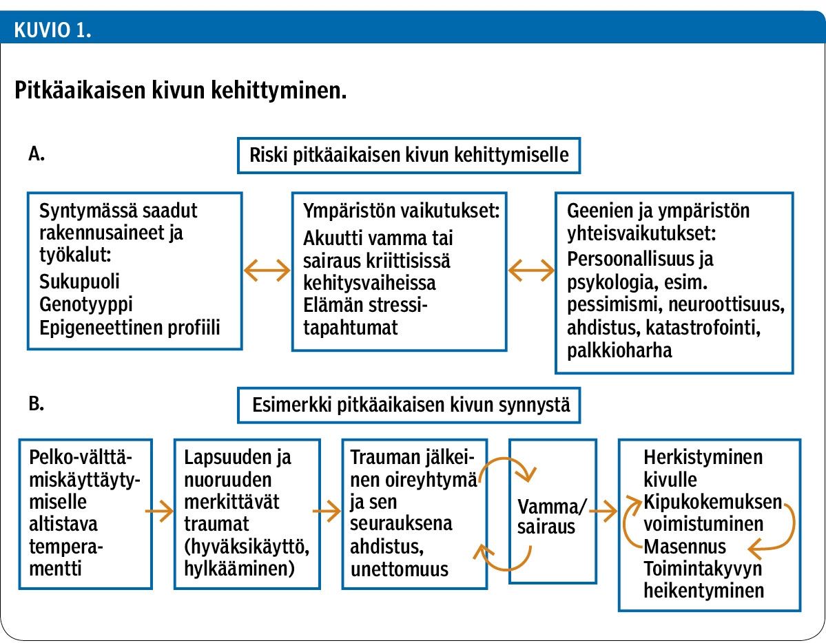 Pitkäaikaisen kivun kehittyminen.