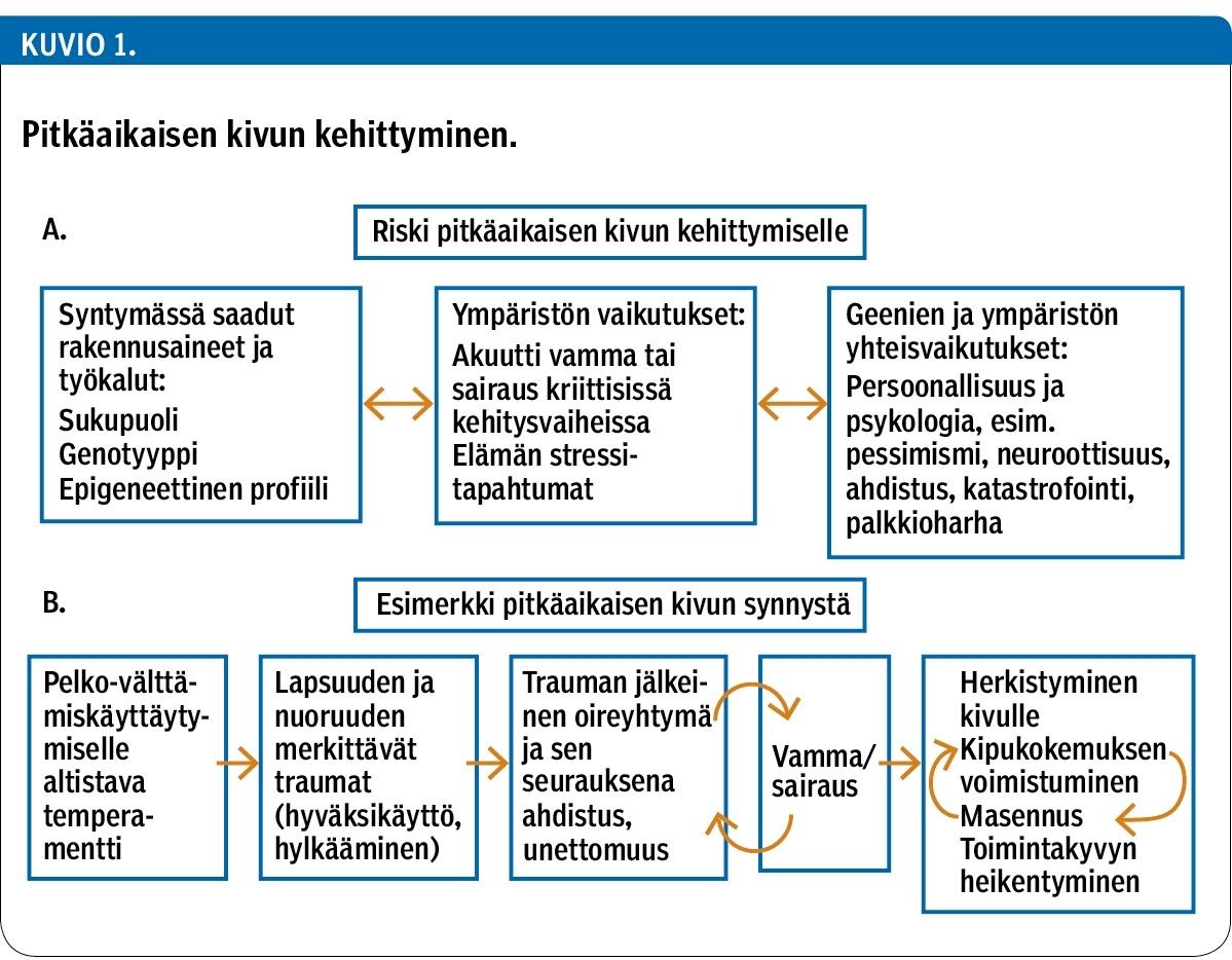 Kivulias musta suku puoli