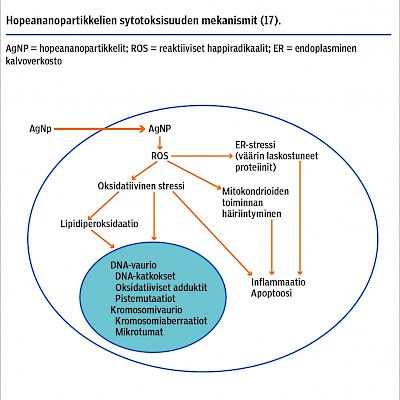 Hopeaveden väärinkäyttö ja sen haitat