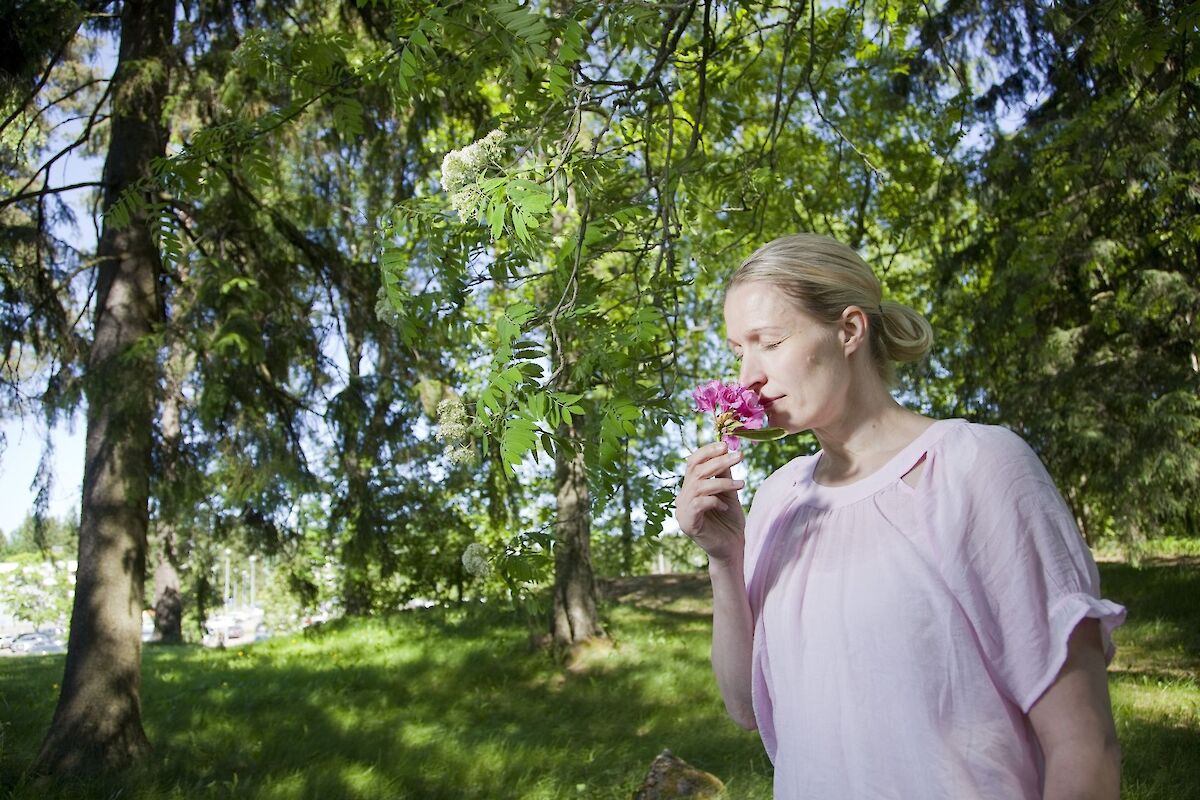 Kansikuva