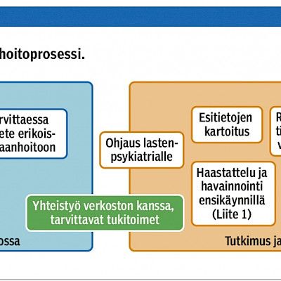 Assessment and treatment of early childhood feeding problems in primary health care and specialized care:child psychiatric viewpoint