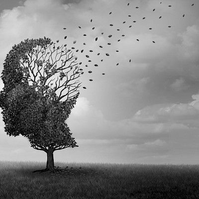 Uusia Alzheimerin taudin varhaisia muutoksia löytyi ihmisen aivoissa