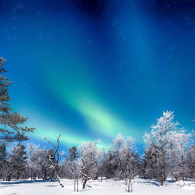 Rauhallista joulunaikaa!