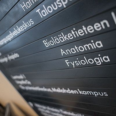 Uusi erikoisalahaku käynnistyi