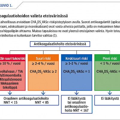 Oraalinen antikoagulaatiohoito sydänsairauksissa