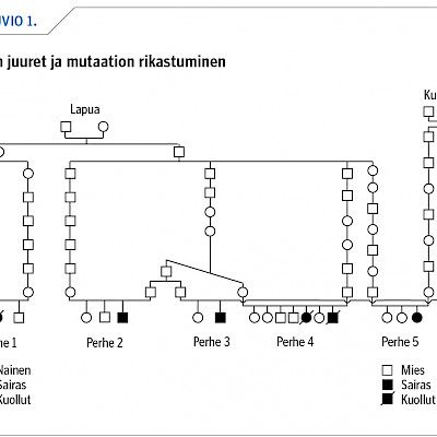 Onko suomalainen tautiperintö muuttumassa?